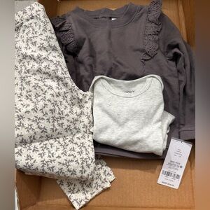 Carters 3pc 18 month girl set